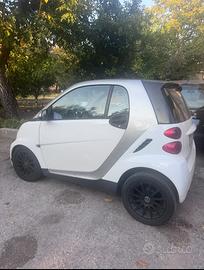 Smart 1.0