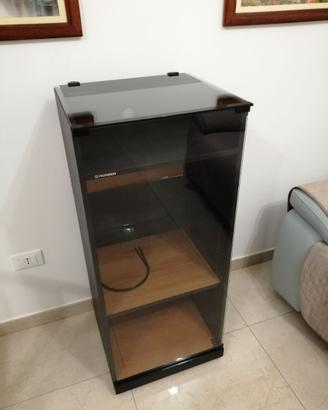 Mobile HI-FI Piooner