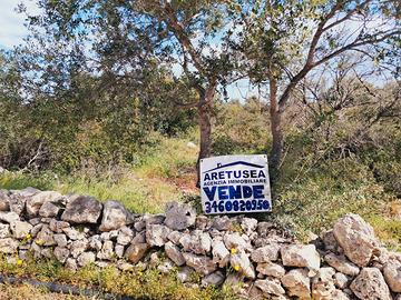 Isola-adiacente chiesa:terreno agricolo di mq 4813