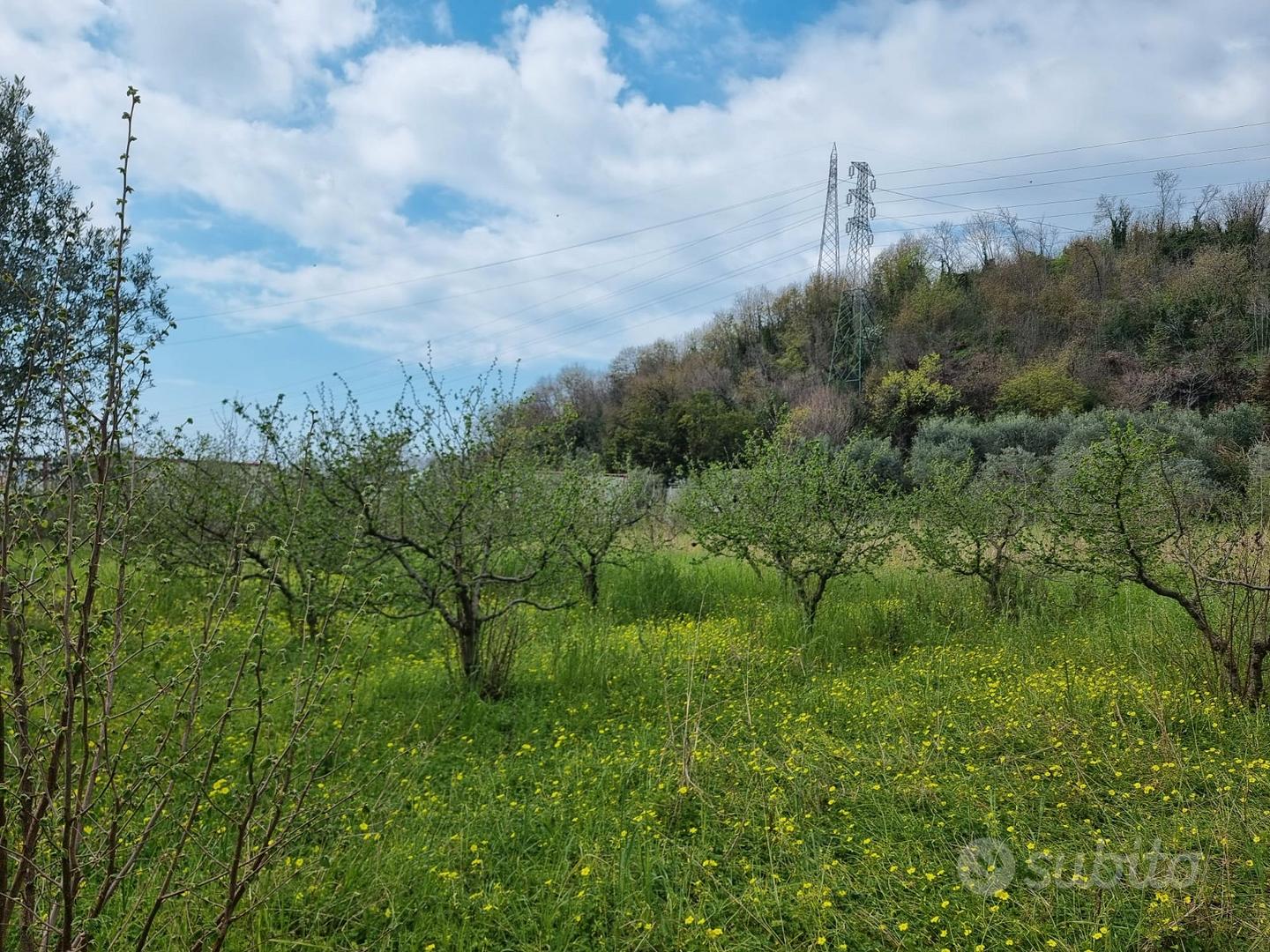 Terreno agricolo con capannone - Vista 4