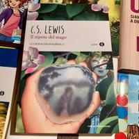 LE CRONACHE DI NARNIA - IL NIPOTE DEL MAGO (Monda)