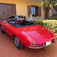 Alfa Romeo spider 1600 1° serie Osso di seppia ASI