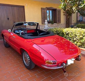 Alfa Romeo spider 1600 1° serie Osso di seppia ASI