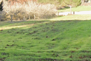 Terreno di 5000 mq con casa di 160 mq zona Cernera
