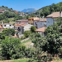 Casa indipendente con giardino