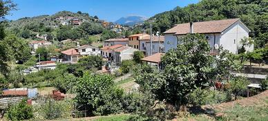 Casa indipendente con giardino