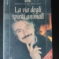 La via degli spiriti animali.