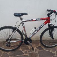 tagliasiepi giardino elettrico