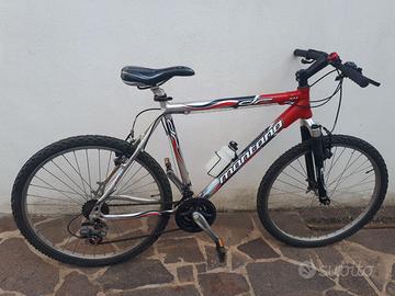 tagliasiepi giardino elettrico