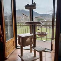 Tiragraffi per gatti