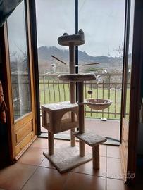 Tiragraffi per gatti