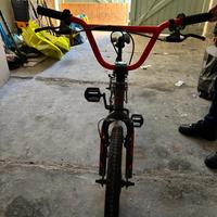 BMX Olmo