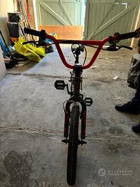 BMX Olmo
