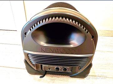 Subwoofer per auto