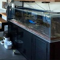 Acquario Marino con Mobile alluminio e sump