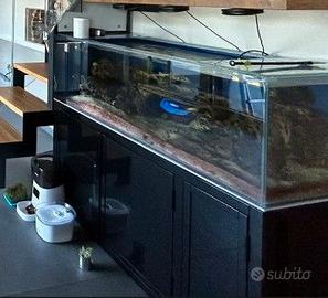 Acquario Marino con Mobile alluminio e sump