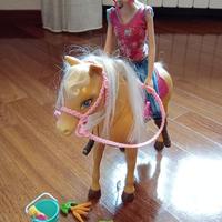 Barbie con cavallo e piccoli accessori