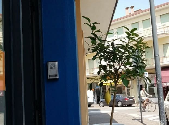 Gelateria Artigianale