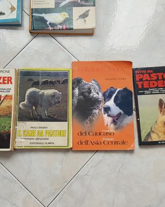 Libri cane cavallo pesci canarini
