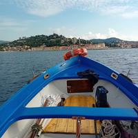 Gozzo vetroresina