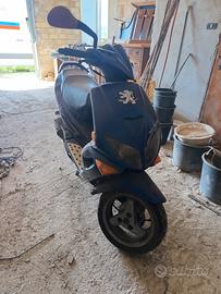 pegeuot Speed fight 2 prost 70 polini