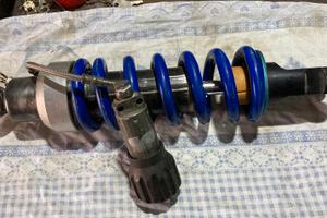 Monoammortizzatore per Aprilia Caponord