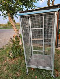 voliera per pappagalli