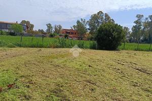 TER. AGRICOLO A FIUMICINO