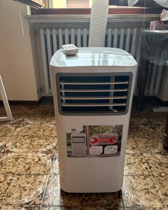 Condizionatore portatole e deumidificatore