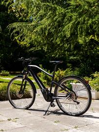 BMW Cruise eBike 2018