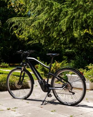 BMW Cruise eBike 2018