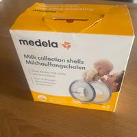 Conchiglie raccogli latte