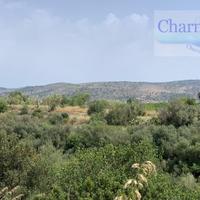 Terreno a Rosolini (SR)
