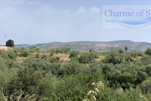 Terreno a Rosolini (SR)