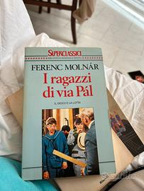 I ragazzi di via pal