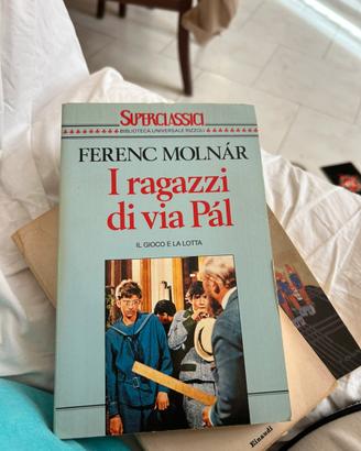 I ragazzi di via pal