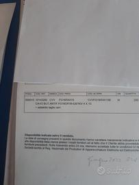 attrezzature per sagre