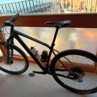 MTB  Alma m 50 carbonio dischi DT swiss xr 1650