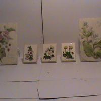 MATTONELLE IN CERAMICA  BY PAST TIMES - LONDON