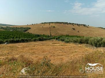 Paterno' - terreno agricolo id: ppa043t