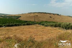 Paterno' - terreno agricolo id: ppa043t