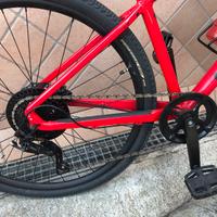 Mountain bike Specialized