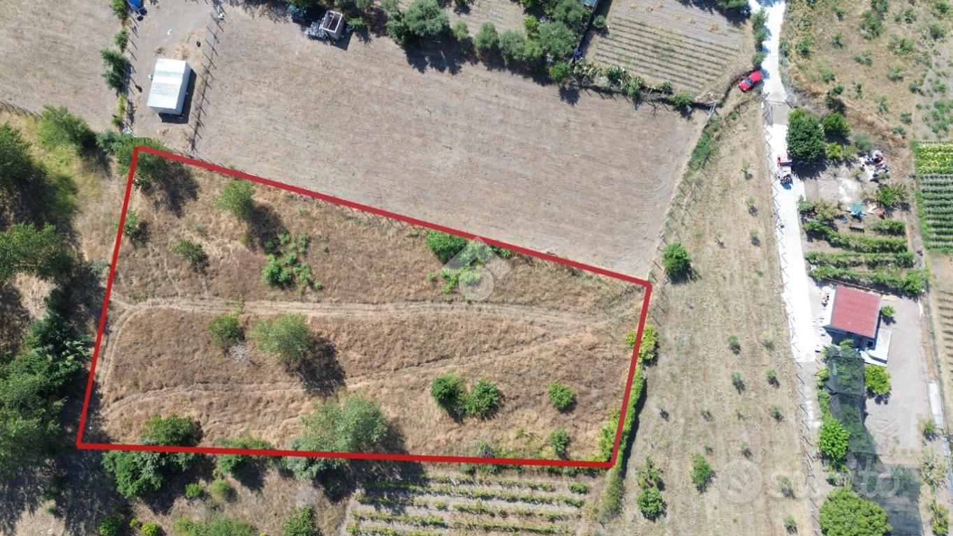 TERRENO A POLLENA TROCCHIA - Altro