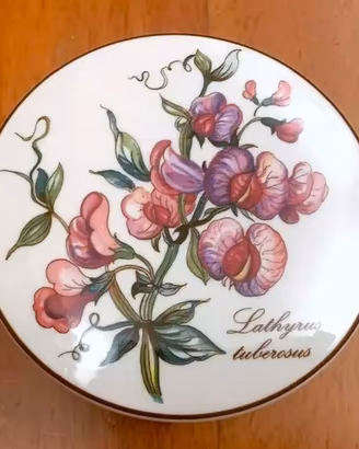 VILLEROY & BOCH - 4 Cofanetti BOTANICA