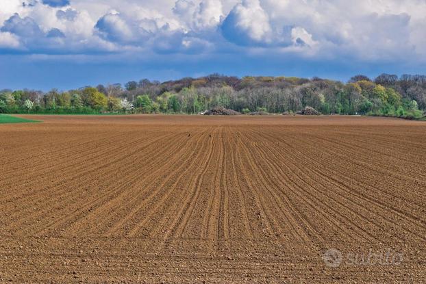 Terreno Agricolo Venafro [VF CSMC2348 - 04VRG]