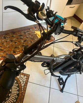 Bicicletta elettrica