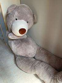 Orso gigante