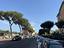 Immagine 15