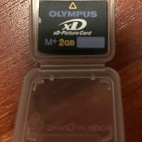 Scheda memoria Olympus XD High Speed 2GB