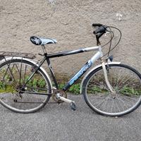 bicicletta da uomo